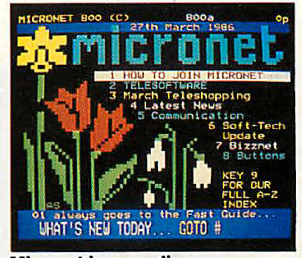 micronet 800 prestel